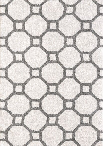 Dynamic Rugs SILKY SHAG 5903-119 White and Silver